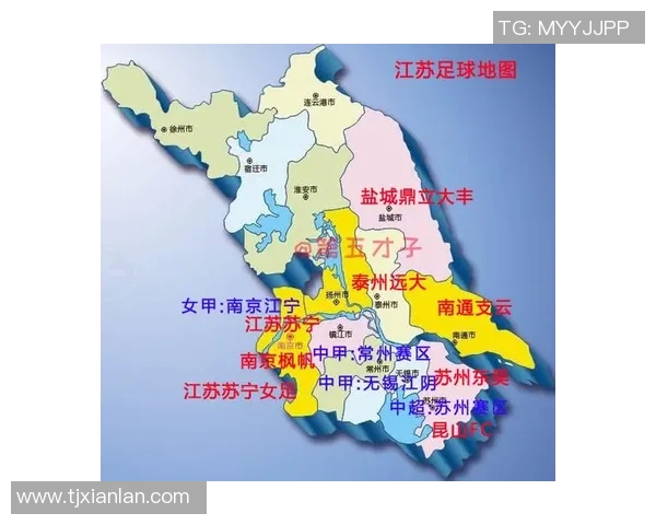 上海足球队实力提升引发热议新阶段的崛起与挑战分析