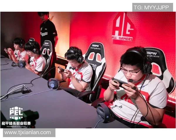 和平精英新篇章EDG战队转型背后的策略与挑战解析