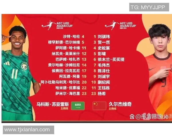 亚洲杯赛事回顾与分析 聚焦各国队伍表现与未来展望