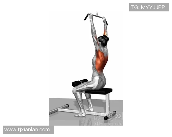 练肩背的健身器材有哪些：锻炼肩部和背部肌肉的健身器材推荐