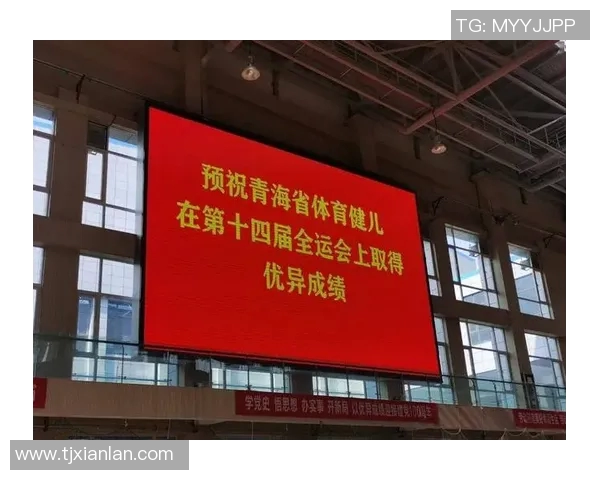 南京排球队的节奏革新探索与实践:重塑竞技风格与团队协作新模式